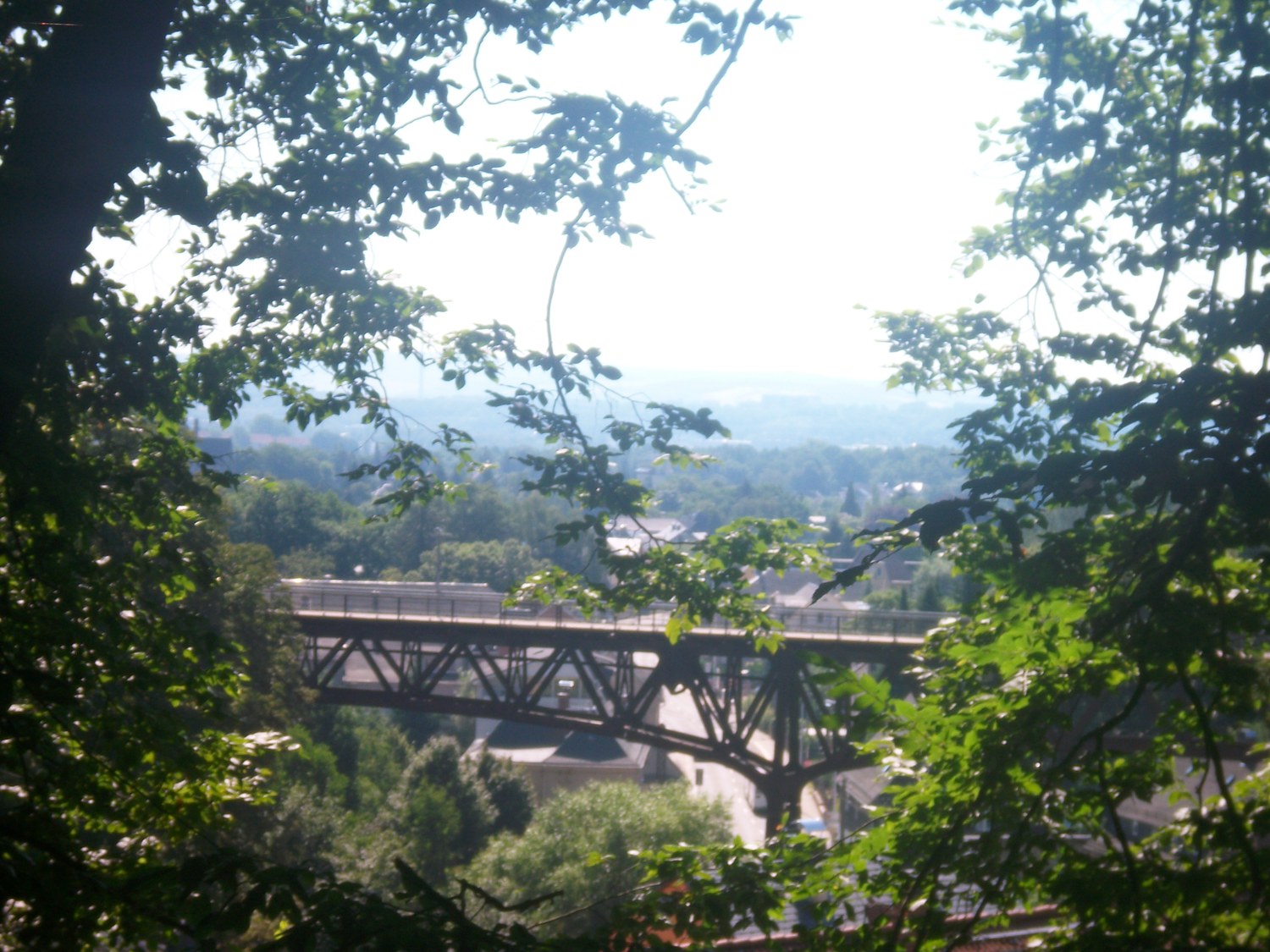 Rabenstein viaduct between trees