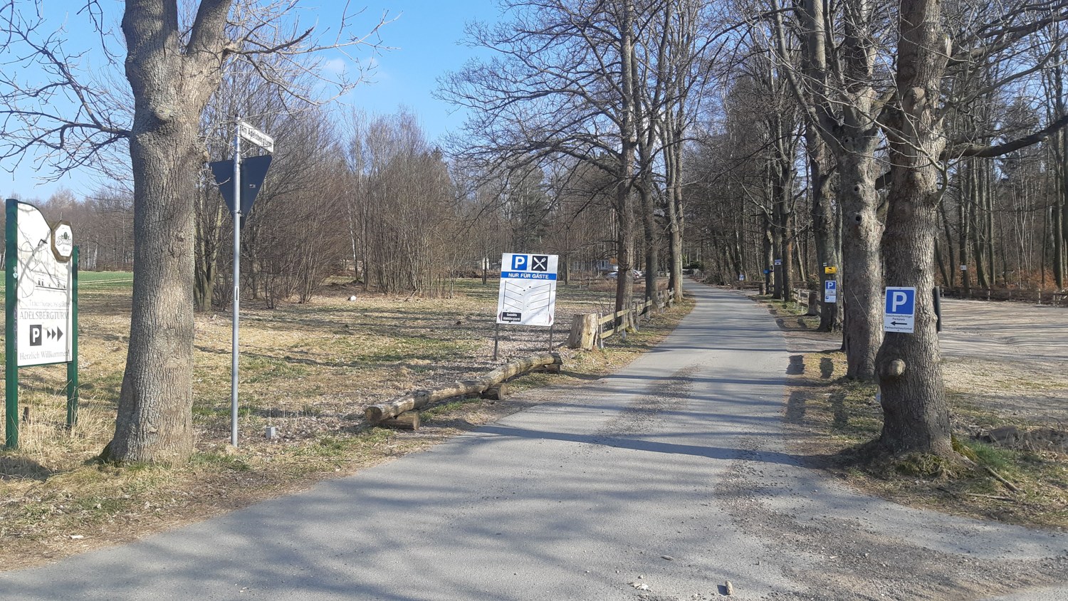 Woodland lane Am Adelsbergturm in Chemnitz