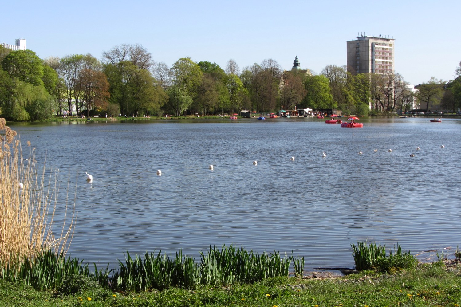 Schloßteich in Chemnitz